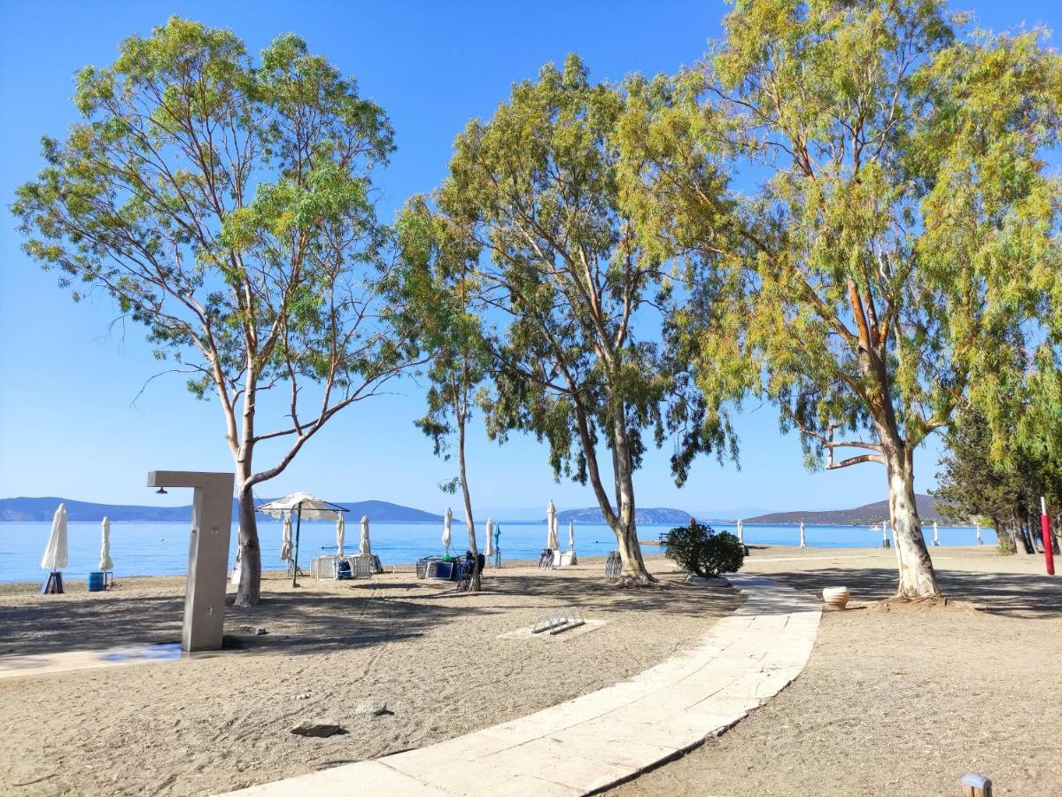 Porto Hydra - Villa Mirani إرميوني المظهر الخارجي الصورة