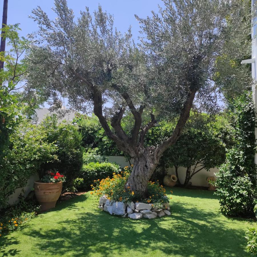 Porto Hydra - Villa Mirani إرميوني المظهر الخارجي الصورة